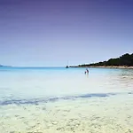 Amazing In * Dragove