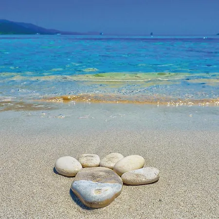Amazing In With House Sea View Vakantiehuis *