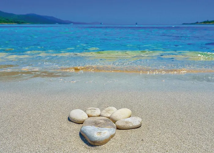 Amazing In Casa vacanze *