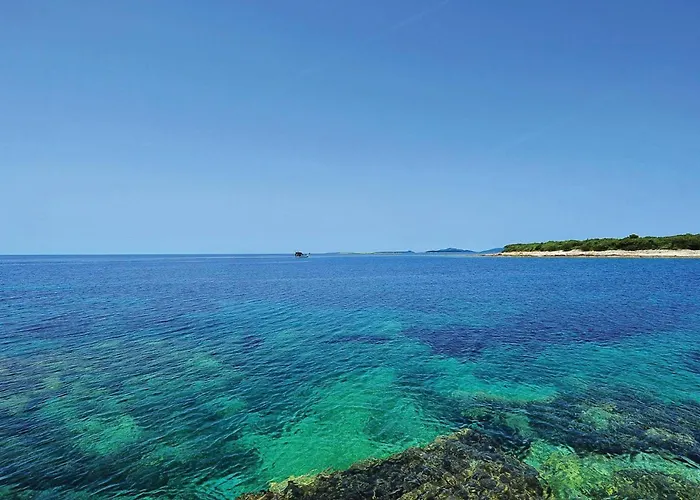 Amazing In Dragove