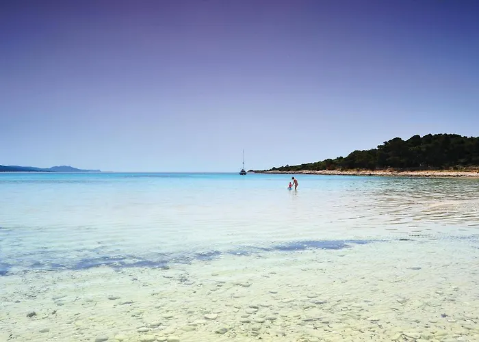 Amazing In * Dragove